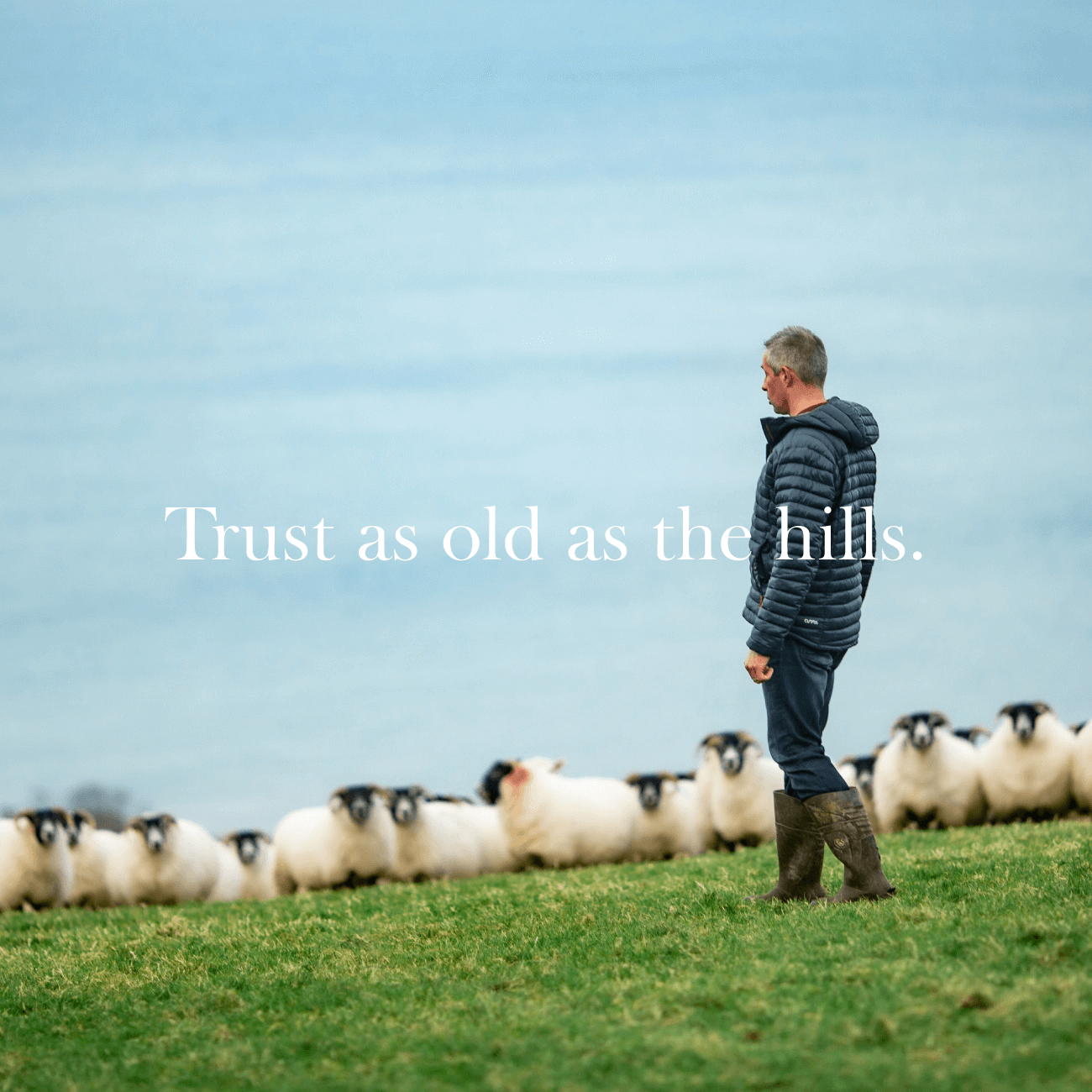 Glenarm Redspark Lamb